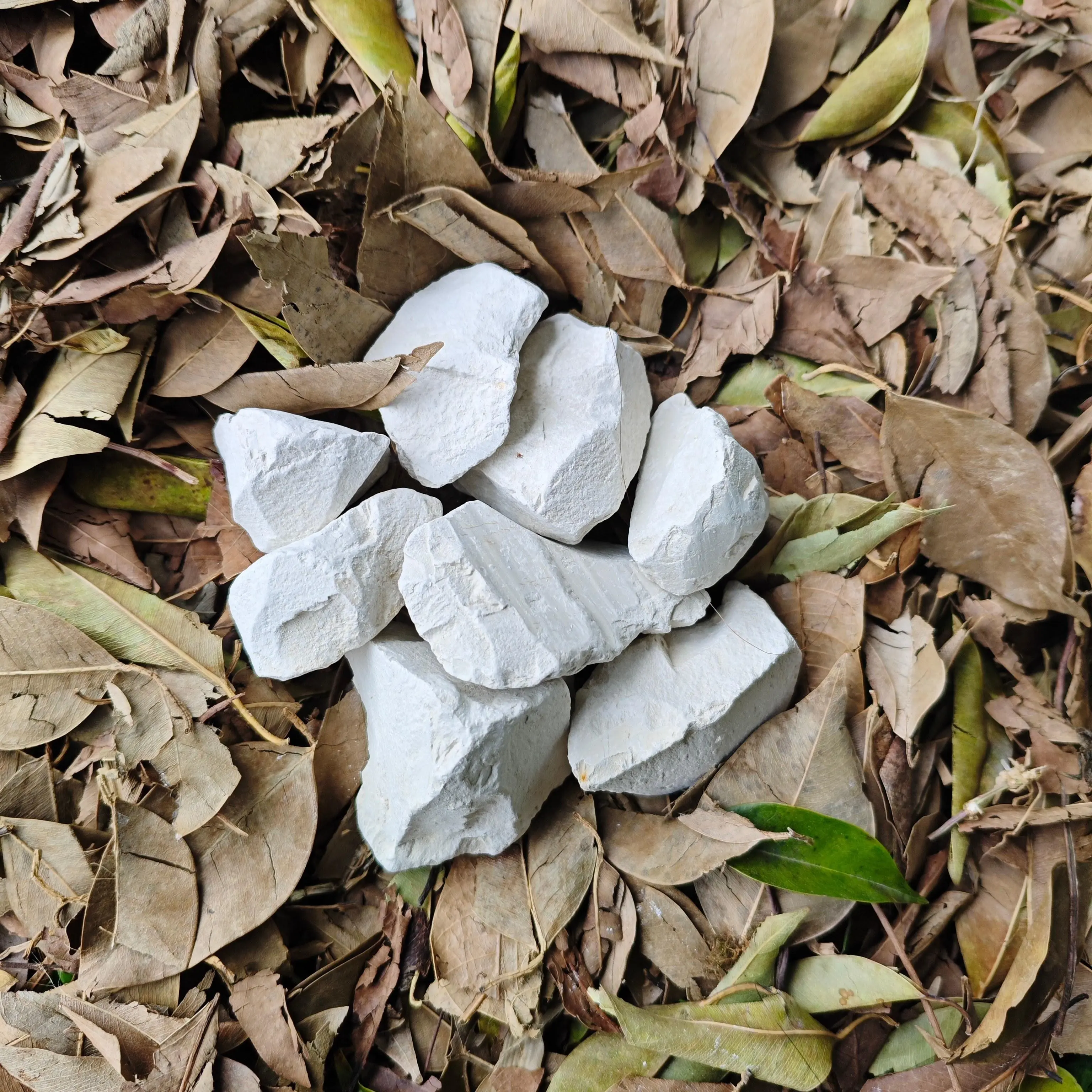 Earthy Chewable Kaolin Chunks – Pure Natural Gray-White Earth, Food & Cosmetic Grade, 0 Additives, Slightly Sticky Texture, 4oz (113g) Garden Soil Clay Rocks