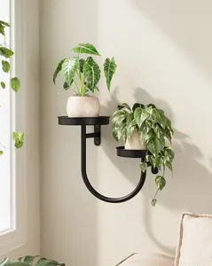 Bamworld Wall Planters for Indoor Plants Wall Plant Holder Plant Wall Shelves Metal Hanging Planters for Indoor Plants Window Plant Shelves Plant Hanger Indoor Plant Decor Black