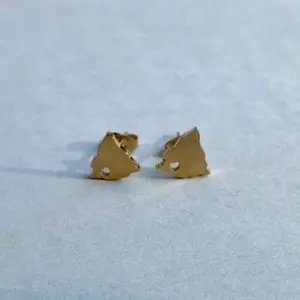 Aretes mapa de Nicaragua