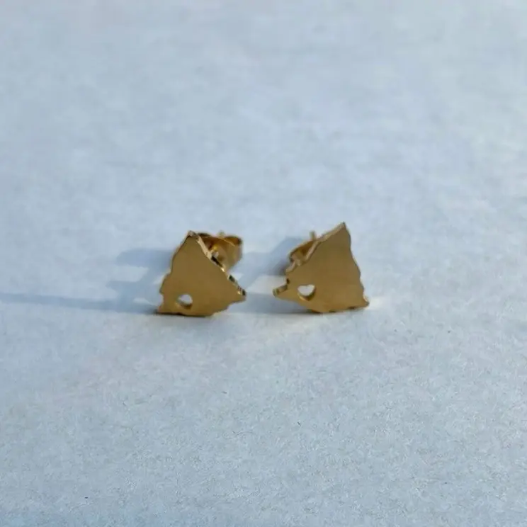 Aretes mapa de Nicaragua