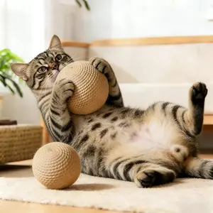 2PCS/3PCS cat sisal toy balls, self soothing, bite resistant, sound making balls, pet cat supplies, cat teasing toy balls, make noise when rolling, enhance cat's playing interest