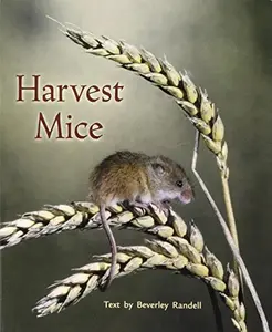 USED-Harvest Mice: Leveled Reader by Beverley Randell (Paperback)
