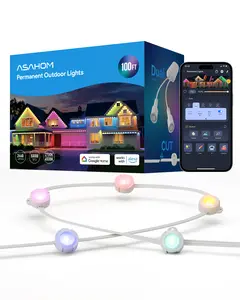 ASAHOM Permanent Outdoor Lights Basic S1070