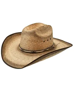 Jason Aldean Unisex Amarillo Sky Palm Leaf Cowboy Hat - Rs1630vb41.Amssbhr