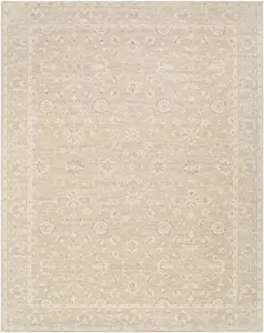 Asha Machine Woven  Nabela Noor Home x LIVABLISS NBAS-2300 Area Rug