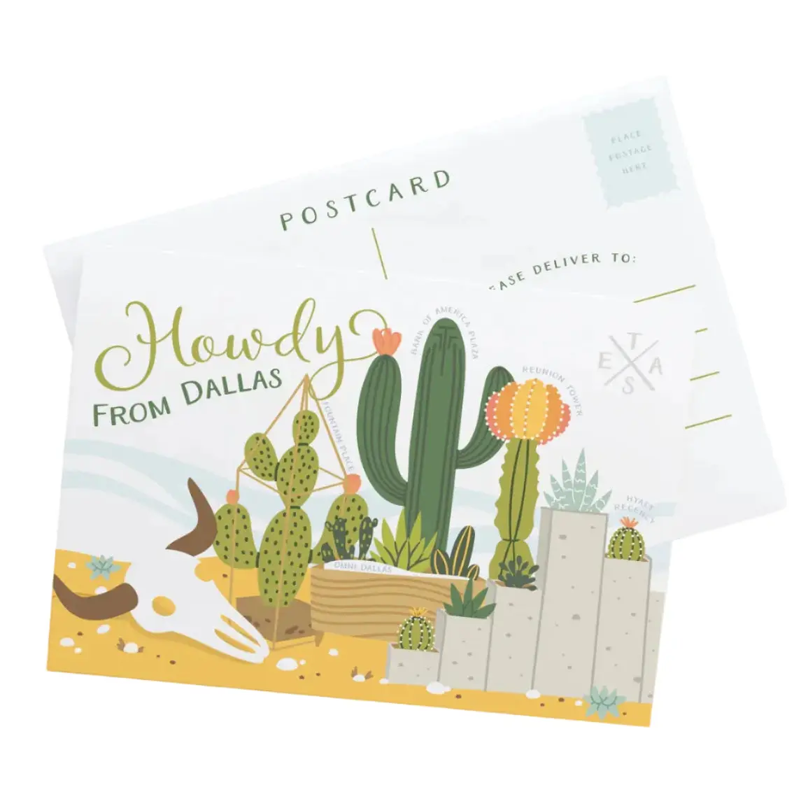Howdy From Dallas Cactus Postcard