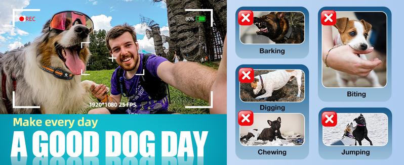 Dog Training Collar for Dogs - 3300Ft Dog Training Collar with Remote for 5-120lbs Dogs Dog Training Collar for Dogs - 3300Ft Dog Training Collar with Remote for 5-120lbs Dogs