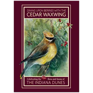 Cedar Waxwing Bird in the Indiana Dunes – Pack of 10 Fine Art Greeting Cards With Envelopes