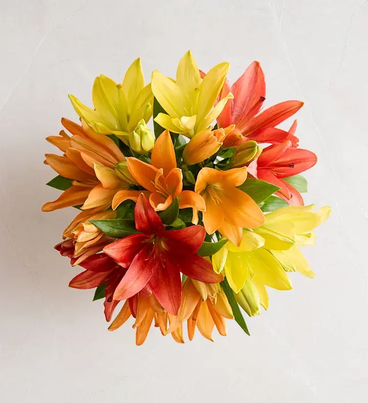 1800 Flowers - 12 Stem Kaleidoscope Roses Bouquet Only, Fresh Flowers