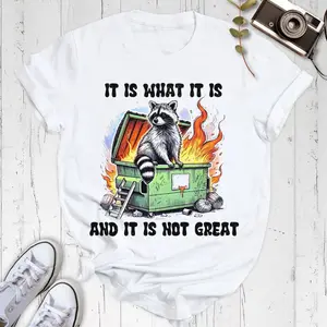 It Is What It Is Raccoon Dumpster Fire T-Shirt, Funny Meme Graphic Tee for Women Men, Sarcastic Dark Humor Shirt, Casual Oversized Top, Christmas Gift Idea