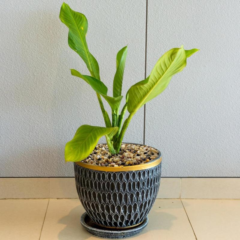 Coarse Sand, Colored Rocks Pebbles, Quartz Sand for Cactus Bonsai, Succulent Plant Bonsai Paving, Vase Filling Decoration, Natural Sand for Fish Tank Decoration Paving(2-4mm)