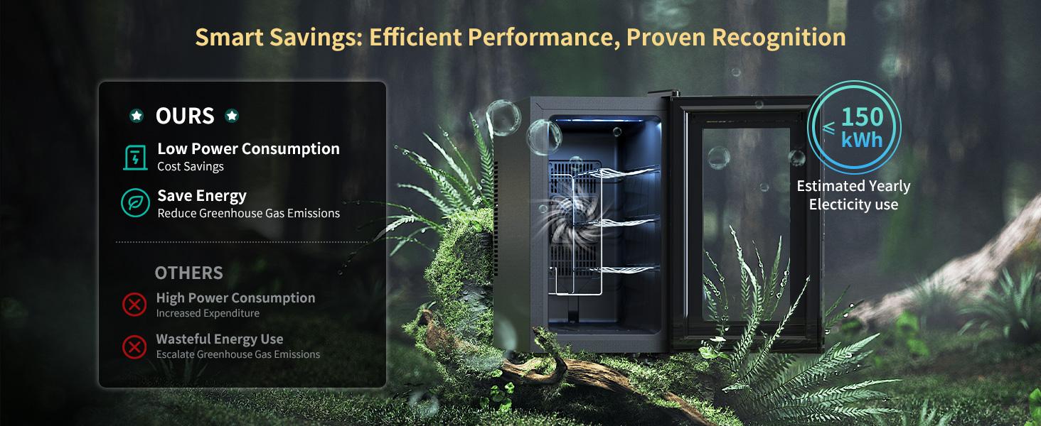 Wine Cooler Fridge, 8 Bottle Wine Chiller with Wine Rack/Lighting, Fast Cooling Thermoelectric Queit Wine Cabinet Cellar for Red White, Energy Efficient Gifts for Women Men