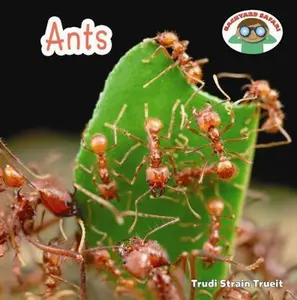 USED-Ants by Strain Trueit, Trudi (Library Binding)