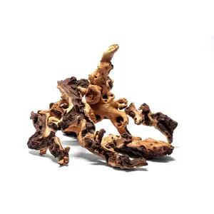 Mopani Driftwood | Biotope & Blackwater Wood