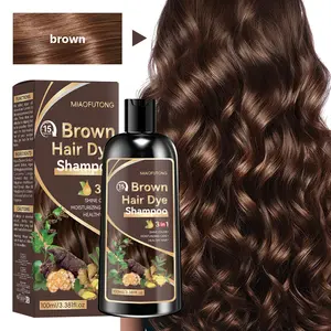 Three-In-One Dye Shampoo Conditioner, Gentle Hair Dye, Natural Extracts Moisturizing Hair Care, Professional Men Women Styling Products