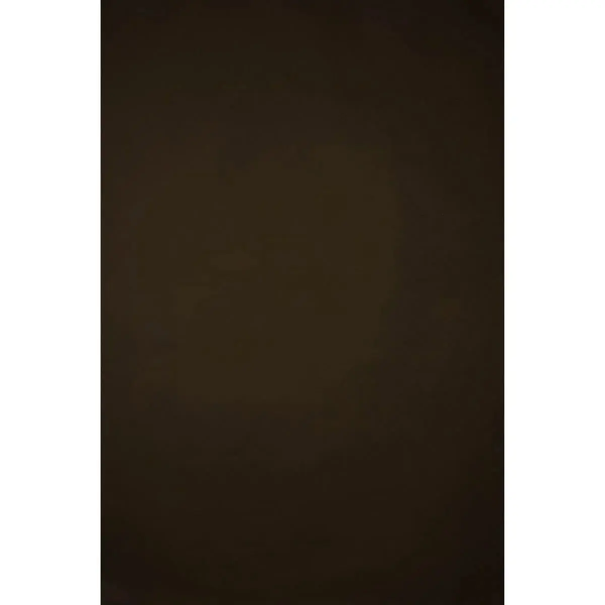 Gravity Backdrops Hand-Painted Classic Collection Low-Texture Canvas Backdrop, 6.2x8.9ft Brown Camera Accessory with Acrylic Duck Accents for Photographers, Essential Photography Accessories