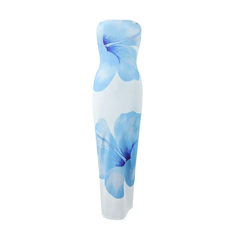 Women's Floral Print Tube Dress, Fashion Casual Strapless Sleeveless Short Dress for Holiday Vacation Daily Wear, Ladies Dress for Summer