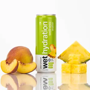 Wet Hydration Peach Pineapple 12-Pack Electrolyte Infused Wellness Water with Aloe Vera & Vitamin D - Sugar-Free, Functional Hydration Drink Beverage Energy Sport Sweet