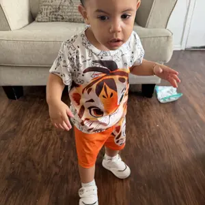 Boys Spider Animal Print Short Sleeve Shorts Set Outfits Set, Comfortable Casual Fashion Kids Clothes, Ideal for Outdoor Daily Wear, Gift for Toddler Boys Aged 3 Months-3 Years, Clothing Sets