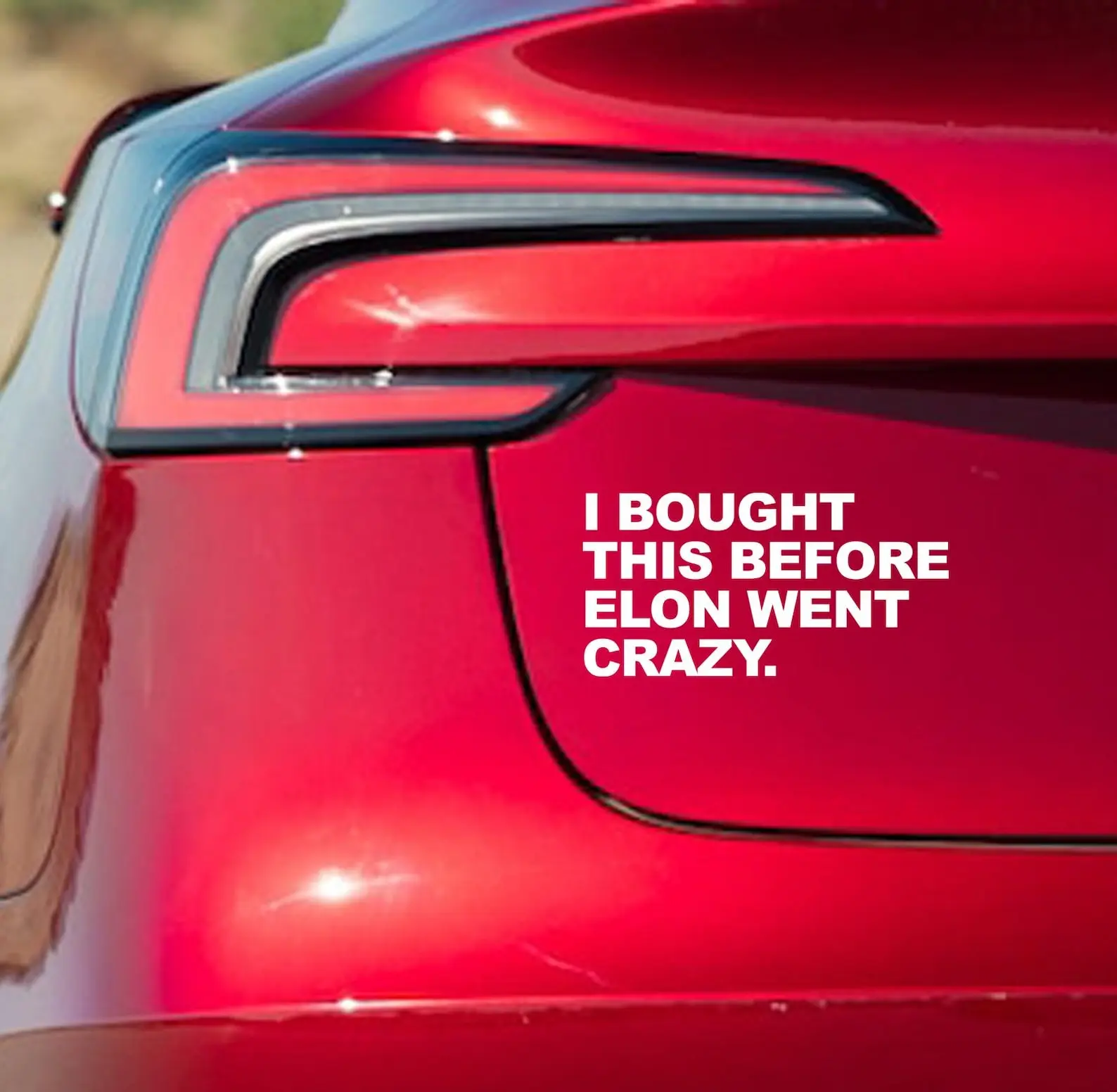 I bought this before Elon went crazy car decal, Anti-Elon