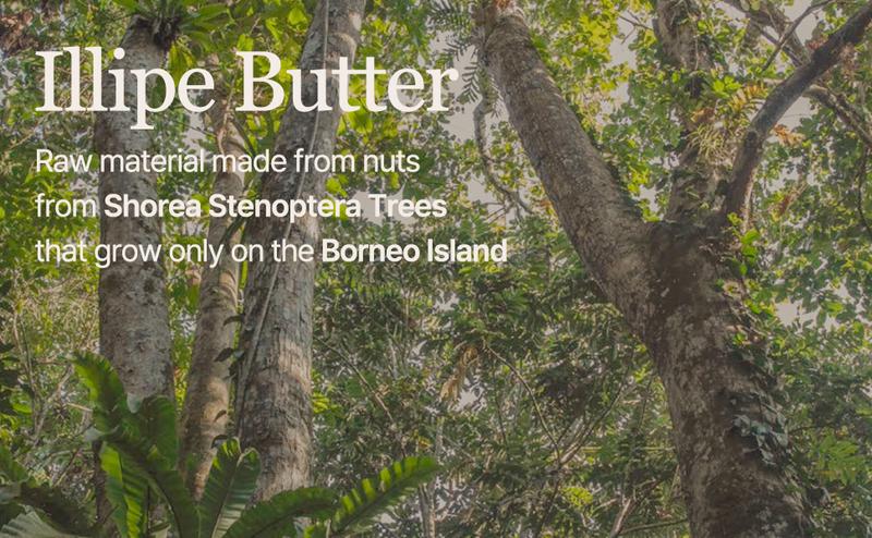 [mixsoon Official Shop] Vegan Melting Lip Balm (Clear) 0.14 oz / 4.1g - Nourishing Lip Balm Stick for Dry Cracked Lips, Korean Skin Care