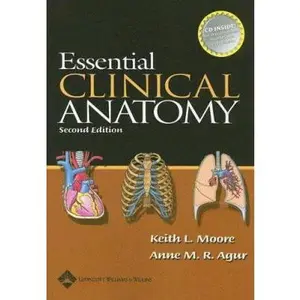 USED-Essential Clinical Anatomy by Keith L. Moore (Paperback)