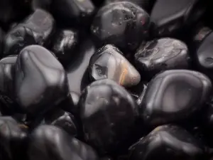 Black Onyx Tumbled 1 lb