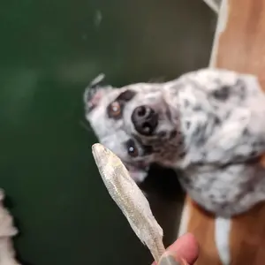 King Lou Whole Minnows - Freeze-Dried Raw Snack for Dogs and Cats single ingredient, 100% USA, Human Grade, Treats Pet Products Natural Food Pets Supplies