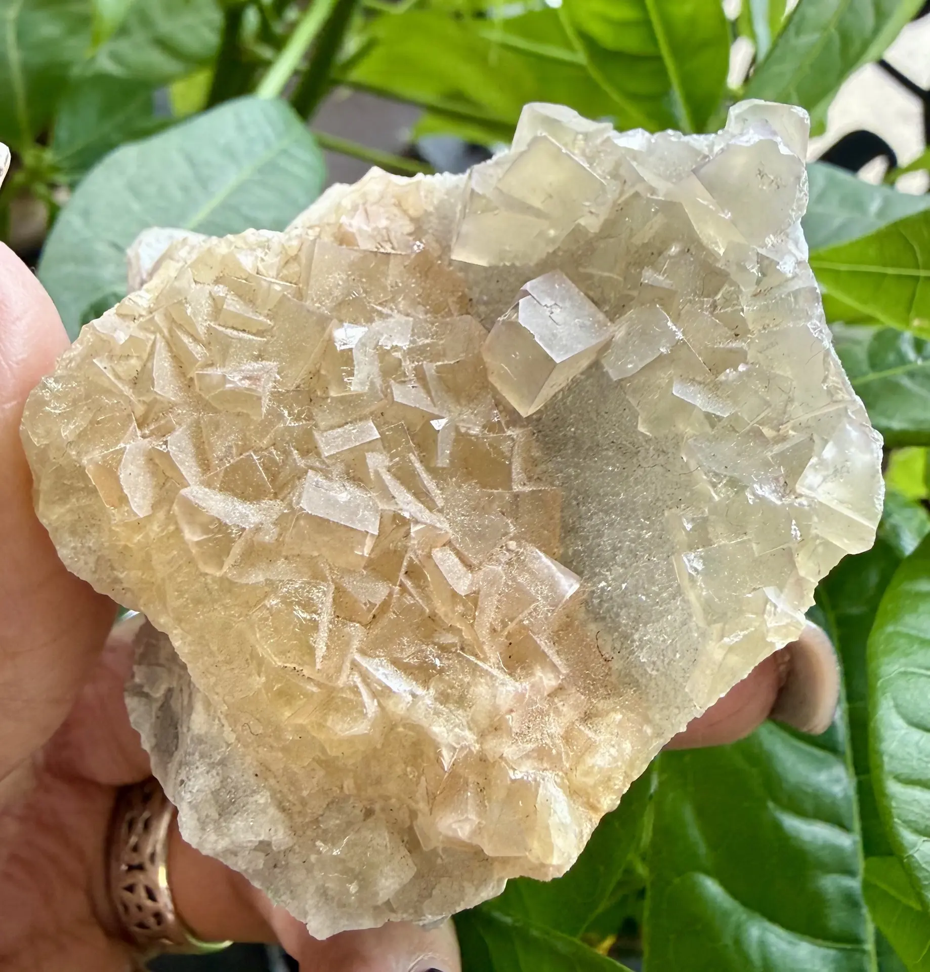 Celestial Fluorite 'Genius Stone' Crystal, 1 Piece Specimen for Meditation, Focus, and Healing, Calcite, Vibrant