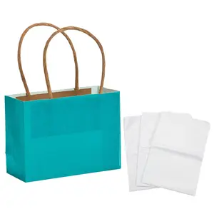 4 1/2" x 3 1/4" Mini Turquoise Kraft Paper Gift Bags & Tissue Paper Kit for 12