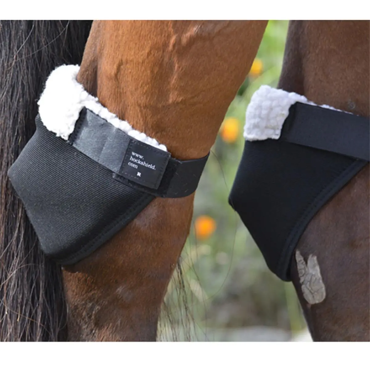 212 MAIN Horse Hock Shield - Regular Size, Adjustable Tabs, Patented Hold (US Patent #8132543), Full Motion, Equine Supplies, Equestrian Sports Gear