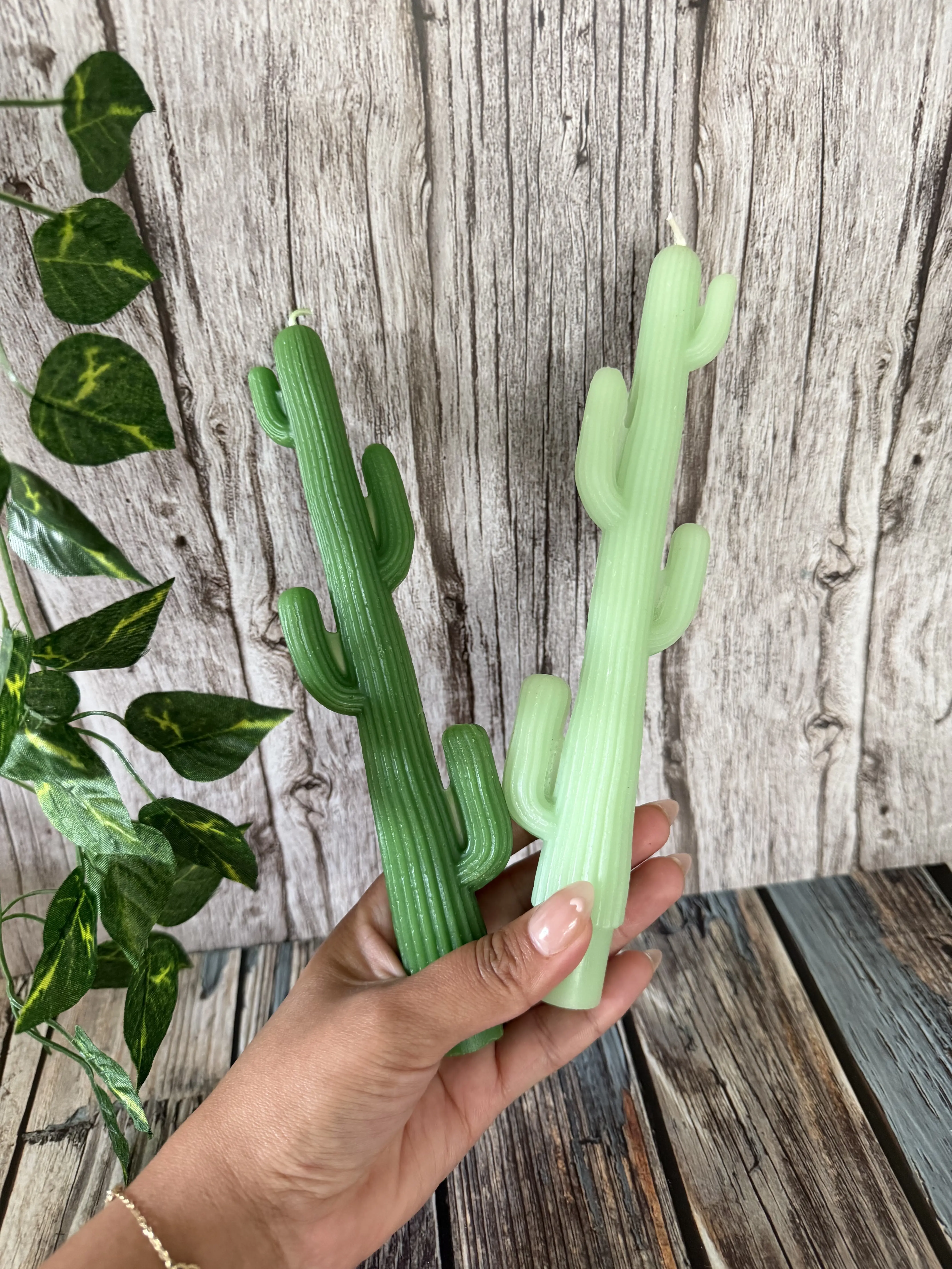 Desierto verde candlesticks