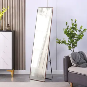 High end and high-quality,Full body mirror, floor mirror,The 4th generation floor standing full-length mirror.wall mirror, bathroom makeup mirror, bedroom foyer.Elegant Flower Pear Color Full-Length Mirror - Aluminum Alloy Frame Design.60*16.5"    RR