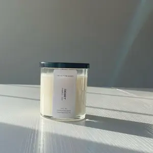 Grapefruit and Mint Reset Coconut Wax Candle Decor Scent Aroma Decoration Burn Time