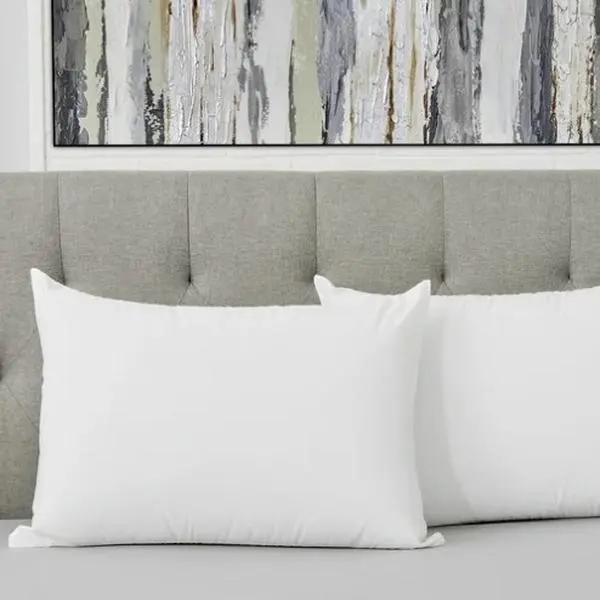 2 Pack Standard/Queen Allergy Relief Bed Pillows
