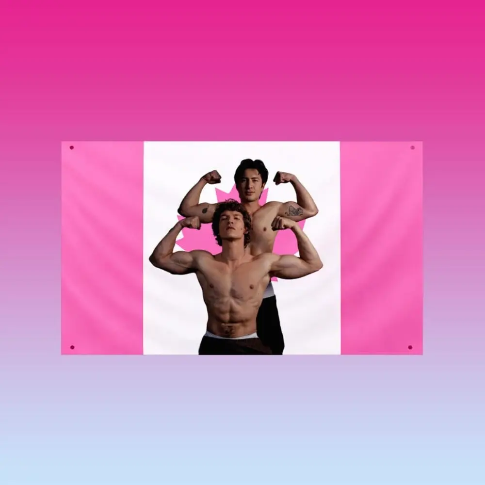 2D plane - 2D plane - 1 piece 2D plane printed, competition flag with heating |   The pink flag inspired by Ilya Rozanov and Shane Hollander |   Popular Ice Hockey Romantic Wall Decoration