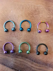 Single Titanium Steel Pincher Ear Plugs Tapers Horseshoe Gauges Septum 0g 2g 4g 6g 8g 10g 12g 14g 16g Circular Barbells pink blue jewelry