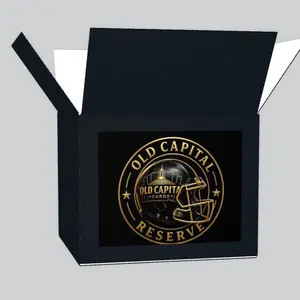 Full Sized Replica Helmet - Pick Your Pair