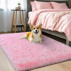Pink Rugs for Bedroom Girls, 2x3 Fluffy Area Rugs for Living Room Soft Shag Fuzzy Small Carpet, Plush Shaggy Cute Alfombras for Kids Boys and Girls Dorm Home Decor (2ft x 3ft, Pink)