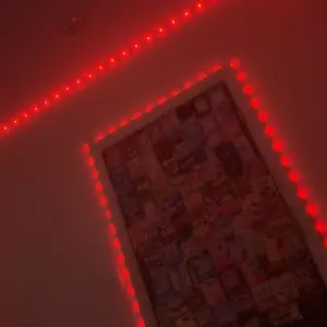 review image 2