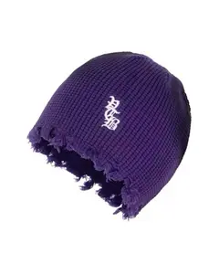 Vertabrae Logo Beanie Purp