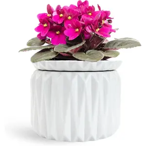 6 inch Self Watering Pot for Indoor ,  Violet Pot Ceramic,  Planter (4 inch Opening), Holds 3 Weeks of Water (1 Pack)