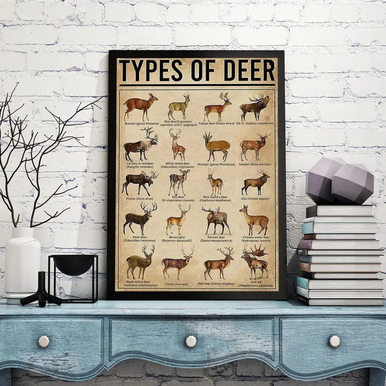 Types of Deer Poster, Vintage Deer Identification Poster, Deer Hunting Educational Wall Art, Wildlife Knowledge Print, Rustic Farmhouse Cabin Decor, Hunter Gift