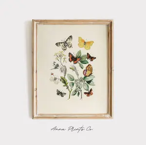 Unframed Vintage Art Print: European Butterflies and Moths | William Forsell Kirby (1882) | Museum Quality Giclee Artwork | Antique Aesthetic Home Decor