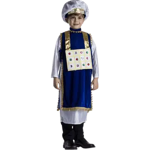 High Priest Costume For Kids - Blue Velvet Smock with Gold Fringes, Chest Plate & Hat - Perfect for Halloween, Cosplay & Pretend Play Fun