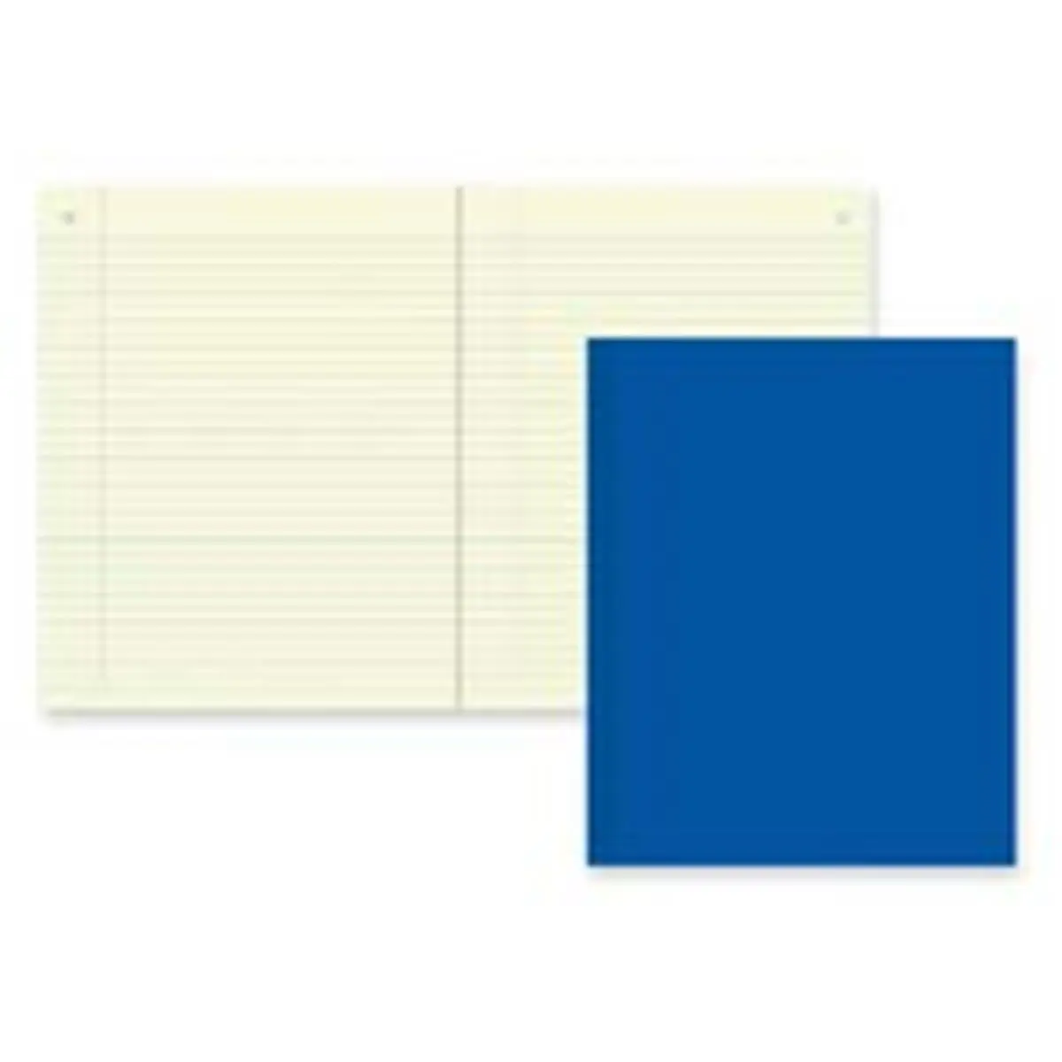 Rediform Chemistry Notebook - Stationery Office Supplies, NR, with Margin, 60 SH, 11in x 8.50in, BE Cover, Green Eye-Ease Paper