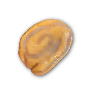 Realistic Honey Bun Soap Bar