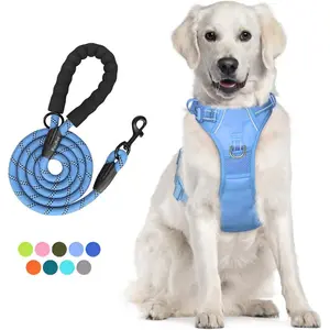No Pull Dog Harness & Leash Set, Reflective, Adjustable with Front & Back Rings - Light Blue, L