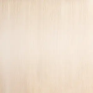 60A Ponytail Hair Extension - Most Platinum Ash Blonde