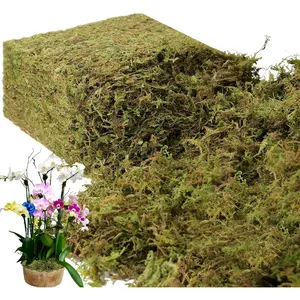35 OZ Large Capacity  Moss for  Indoor, Fresh Green Moss for Potted  Craft Moss for  & Office Decor Fairy Garden Decoration (Fresh Green - 992gr)